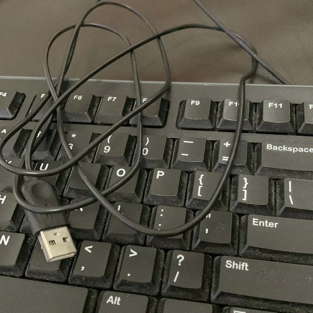 Logitech K120 keyboard.